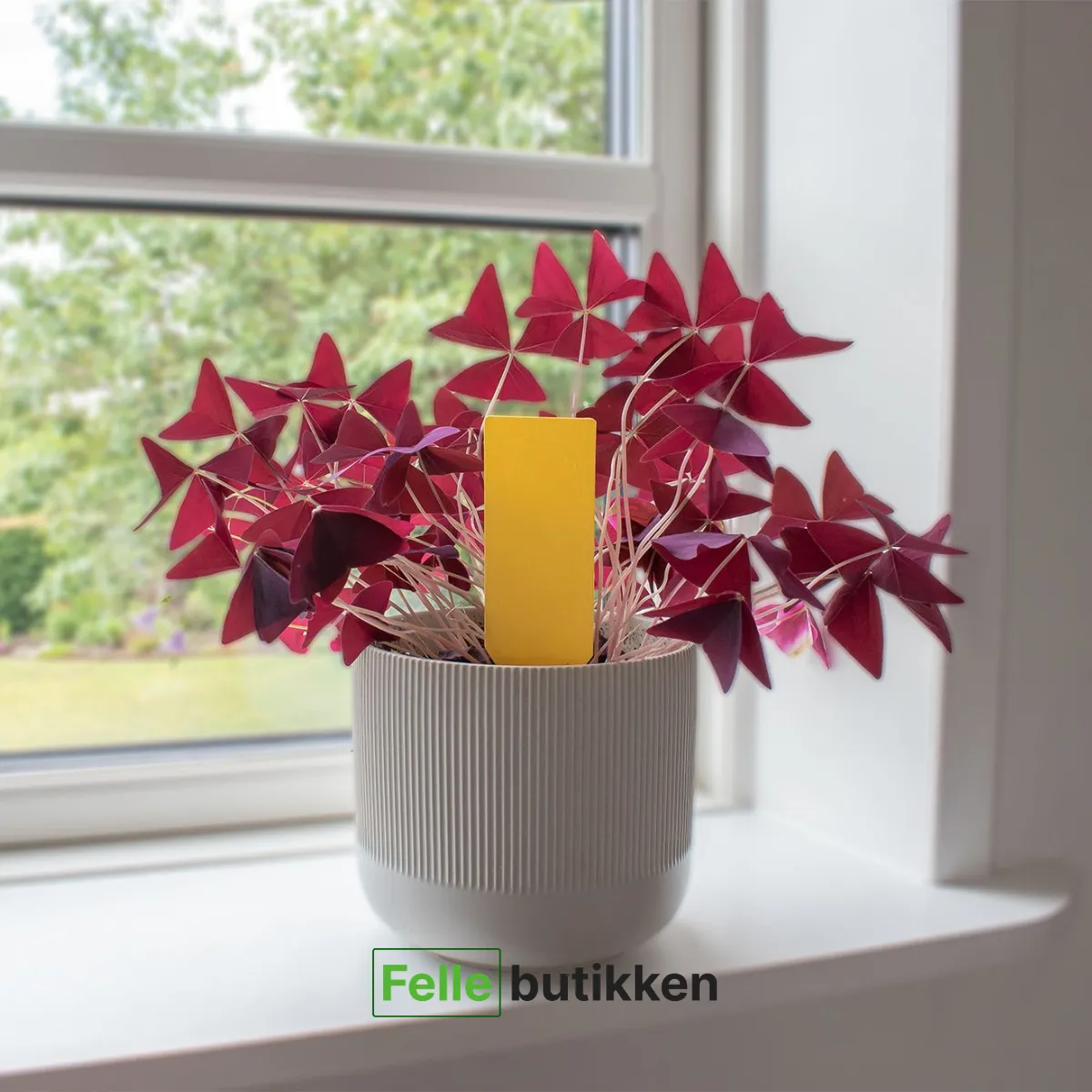 safetrap fluesmekker mot fluer – assortert farge (kopi) safetrap fluesmekker mot fluer – assortert farge (kopi)
